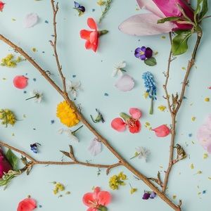 Meet your Posher, Areesha